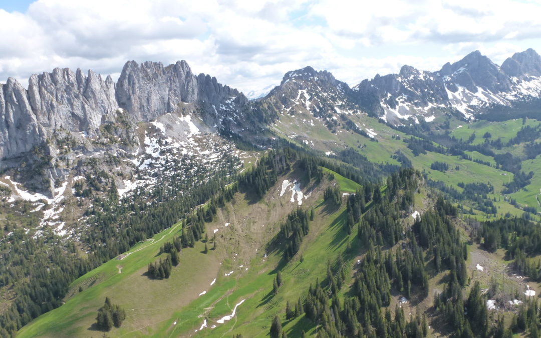 Le nouveau site internet est en ligne