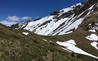 Dans notre série “Testé pour vous”: le col de Jable (hier après-midi). Une façon comme une autre de passer de la zone Mosses/Etivaz à Gstaad. En prime: chamois, lièvres, volatiles en tous genres. Et plus si vous avez de la chance…