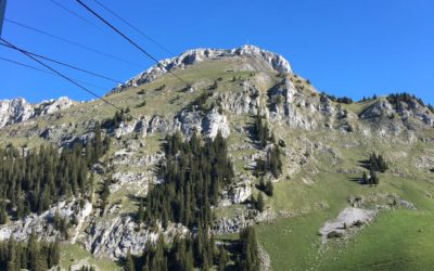 Dans notre série “Testé pour vous”: le déco du Stockhorn (ce matin). Et pour ceux qui n’arriveraient pas à résister à l’appel des sirènes (des transports publics), pas de panique: laissez-vous “déclasser” – comme dit le règlement – dans la plus “douce” des catégories…