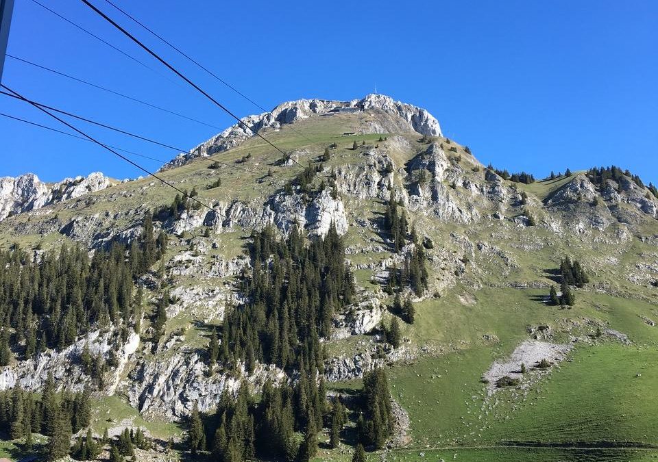 Dans notre série “Testé pour vous”: le déco du Stockhorn (ce matin). Et pour ceux qui n’arriveraient pas à résister à l’appel des sirènes (des transports publics), pas de panique: laissez-vous “déclasser” – comme dit le règlement – dans la plus “douce” des catégories…