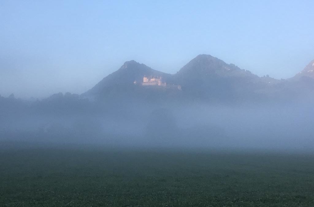 Publication de  Kurt Müller | 07.06.2019 08:20:03