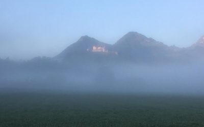 Publication de  Kurt Müller | 07.06.2019 08:20:03