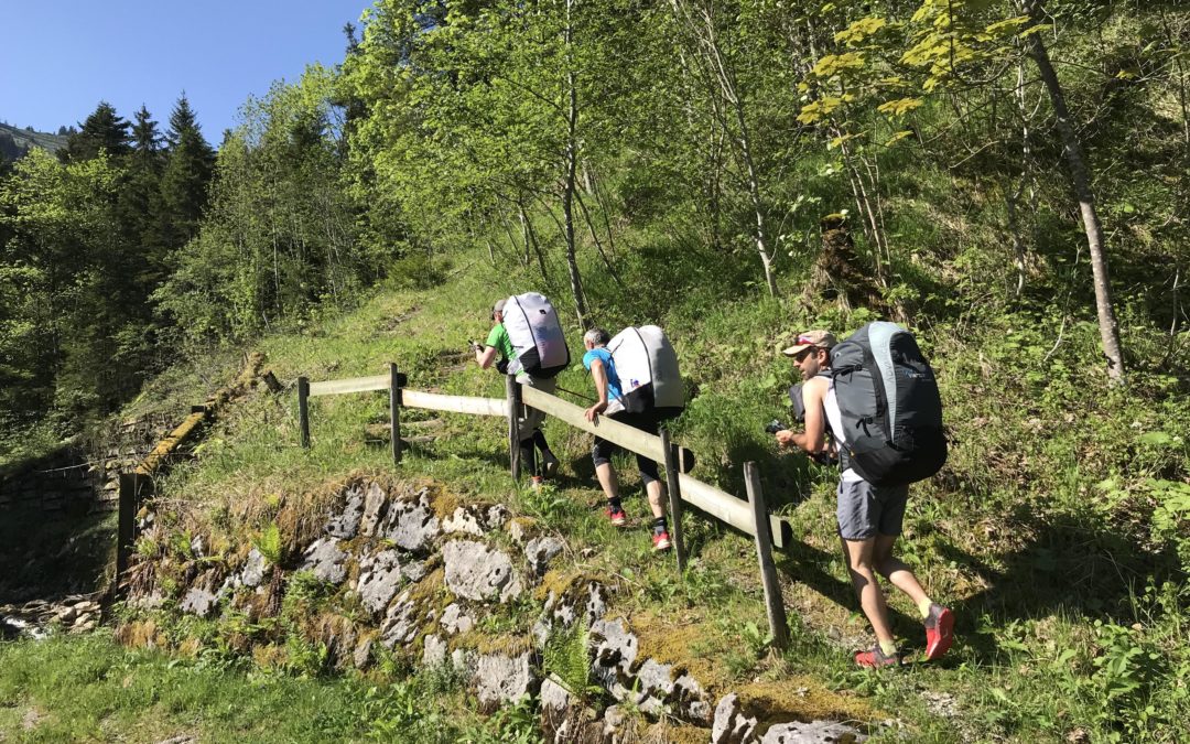 Publication de  Lucien Périsset | 07.06.2019 09:50:10