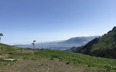 Publication de  Lucien Périsset | 07.06.2019 12:35:02