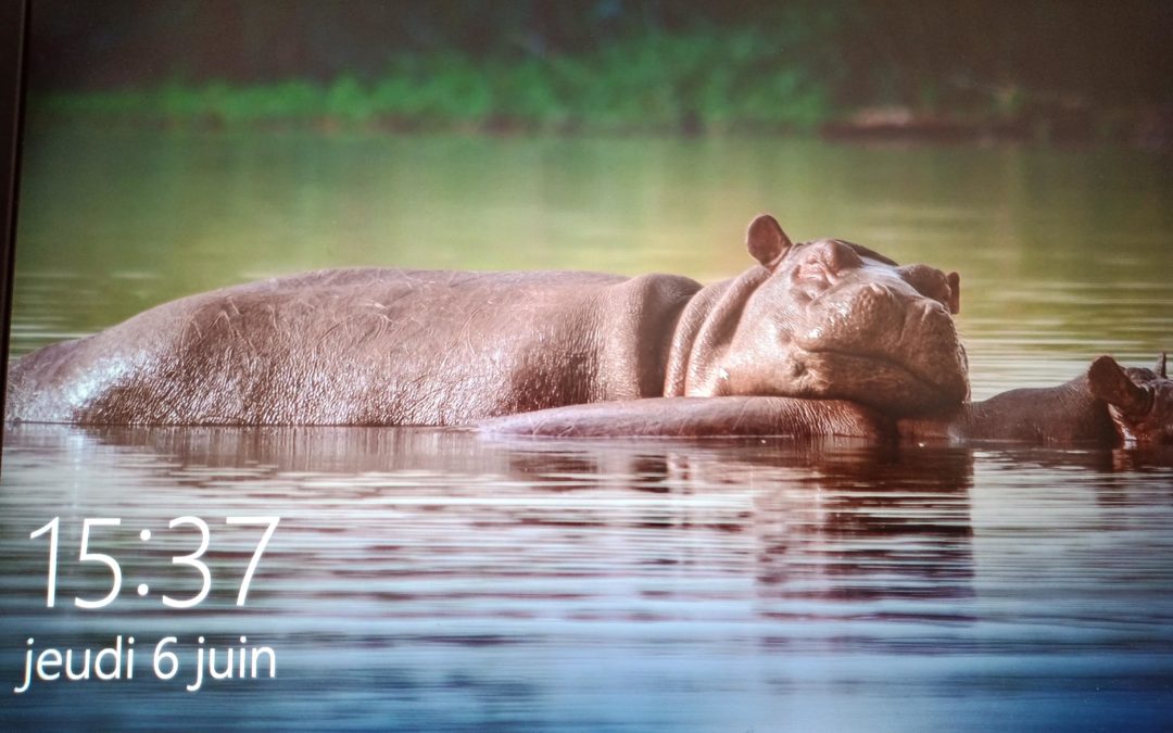 Take it easy! C’est bientôt l’heure ?