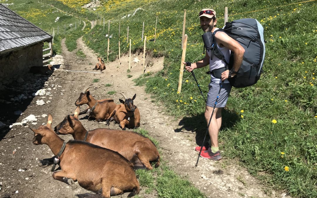 Publication de  Lucien Périsset | 07.06.2019 13:54:34