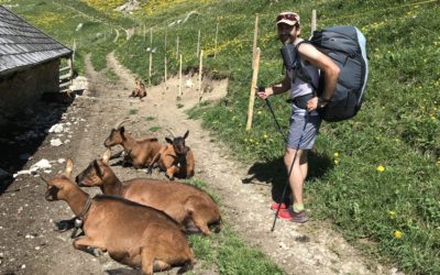 Publication de  Lucien Périsset | 07.06.2019 13:54:34