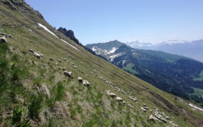 En approche du rochez de Nez!!