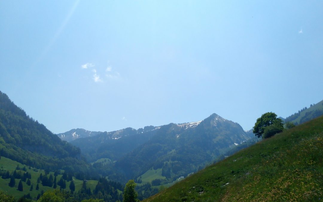 Publication de  Jérôme Boudry | 07.06.2019 14:20:08