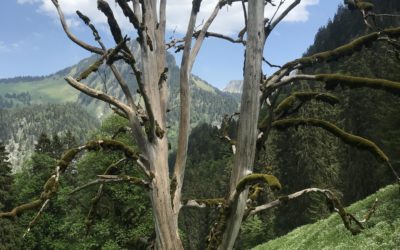 Publication de  Lucien Périsset | 07.06.2019 15:20:02