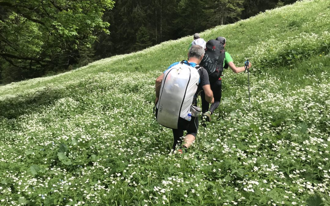 Publication de  Lucien Périsset | 07.06.2019 15:20:07