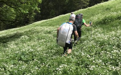 Publication de  Lucien Périsset | 07.06.2019 15:20:07