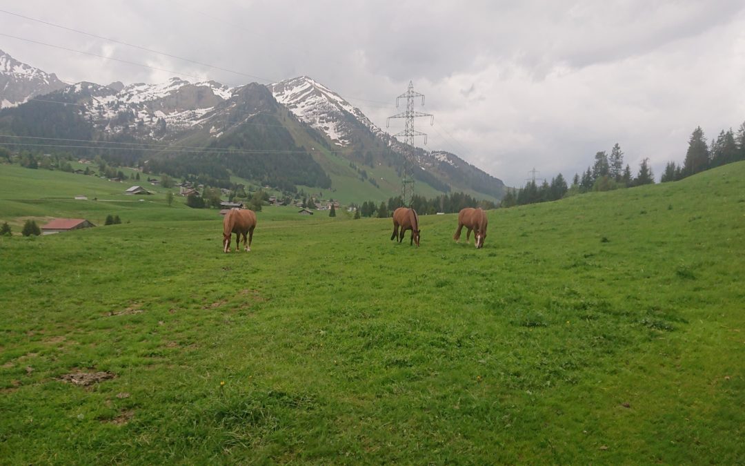 Publication de  Marc Fragnière | 07.06.2019 18:50:11