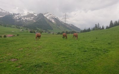 Publication de  Marc Fragnière | 07.06.2019 18:50:11