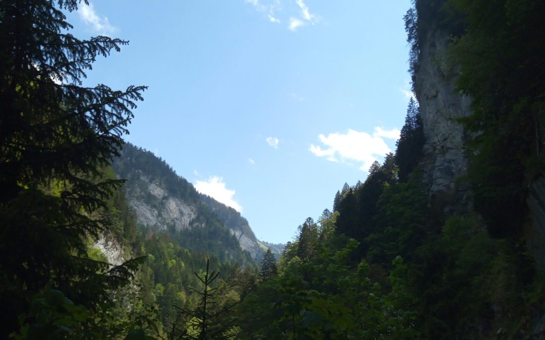 Publication de  Jérôme Boudry | 07.06.2019 19:35:06