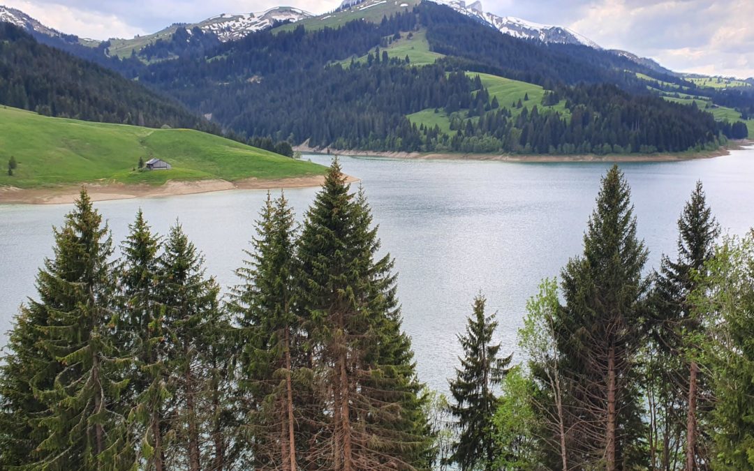 Bilan de la première journée