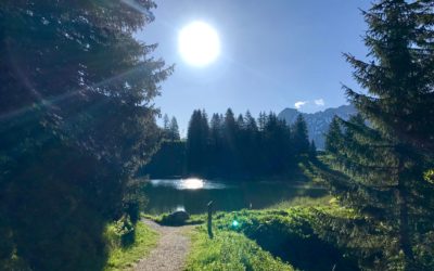 Fait beau, fait chaud … chauffe Marcel, ça va être top