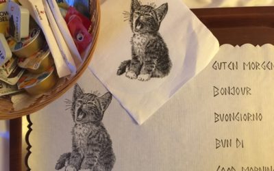 Debout les zouzous : jour 2!