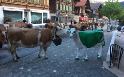 Gstaad : choc des cultures…