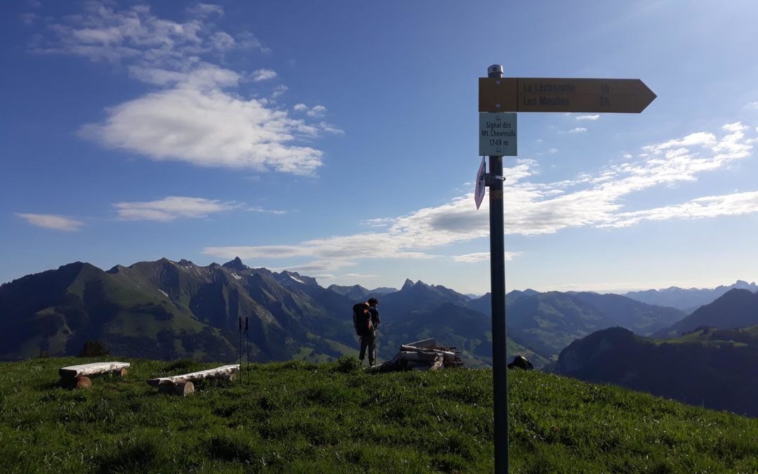 Planera, planera pas?