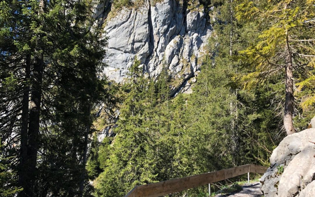 Une petite visite au Stockhorn…