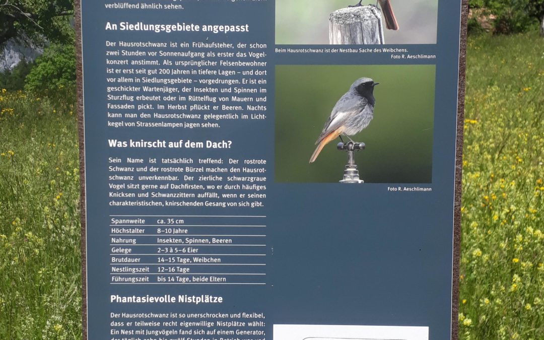 Publication de  Gael Niquille | 08.06.2019 15:50:03