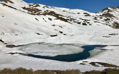 Une petite baignade … c’est tentant!