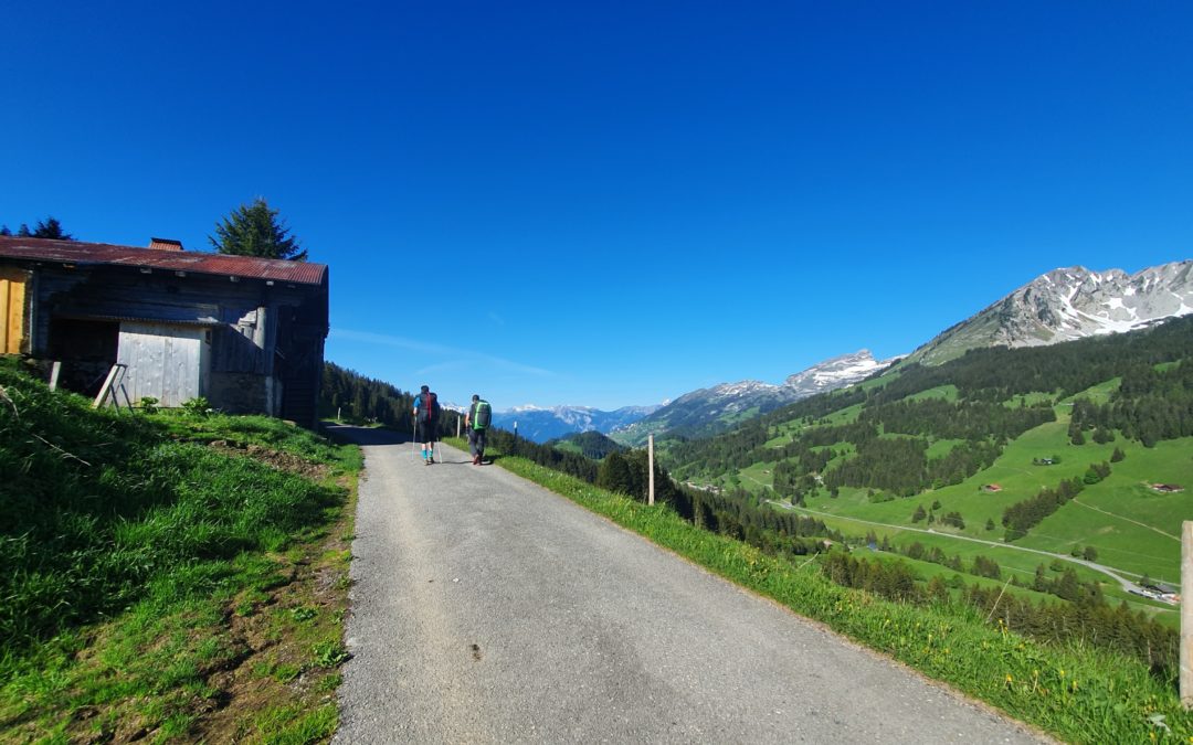 Image march et vol de Felix