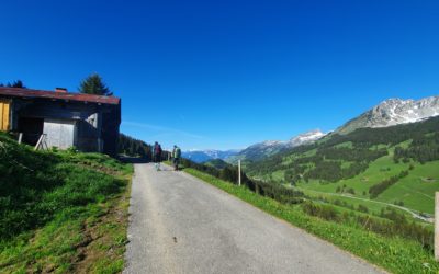 Image march et vol de Felix