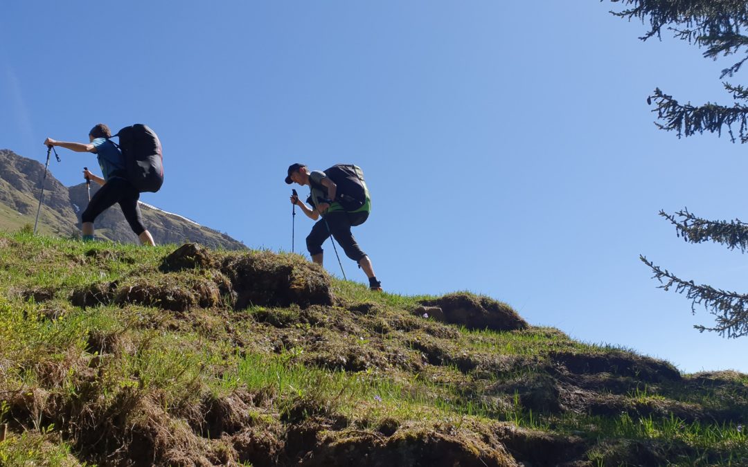 Image march et vol de Felix