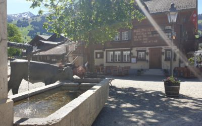 Publication de  Andrea Habegger | 08.06.2019 16:31:52