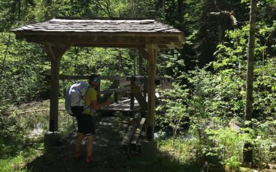 vers les sciernes piccats