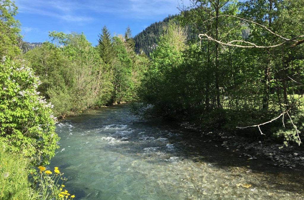 Hier ist es auch am Boden schön