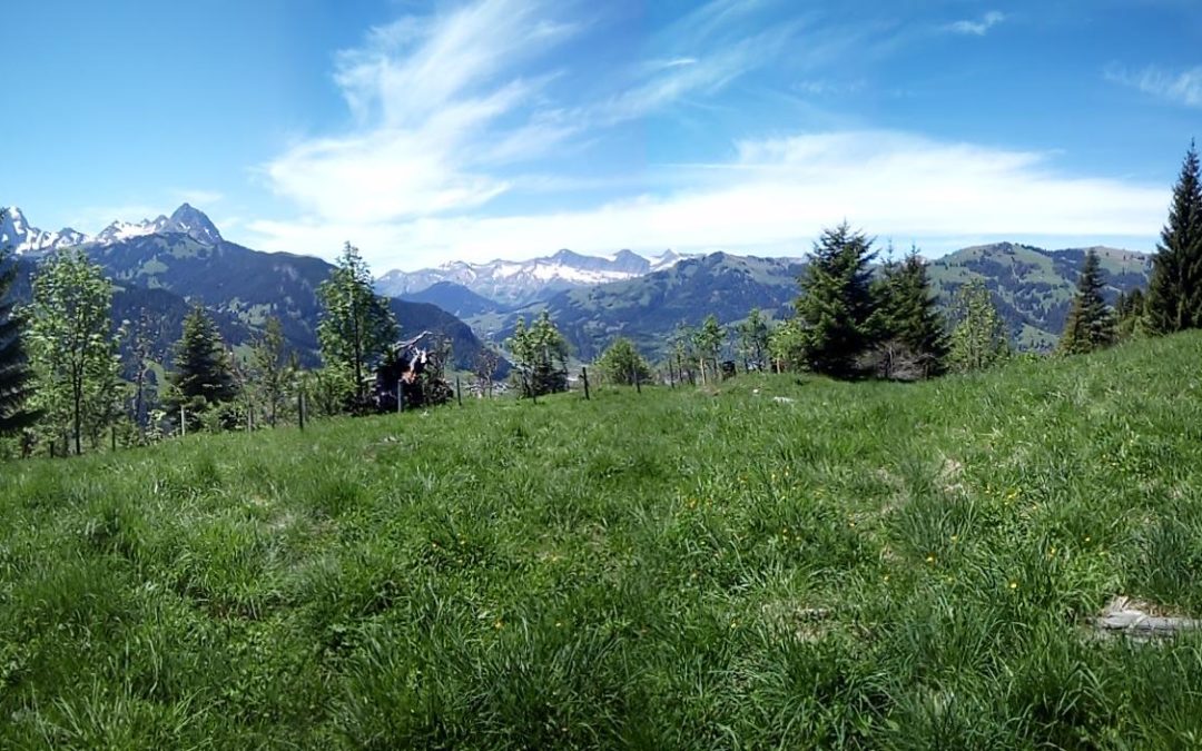 Publication de  Jean Morisetti | 08.06.2019 18:05:02