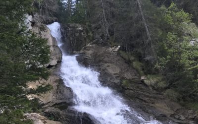 Publication de  Lucien Périsset | 08.06.2019 18:22:45