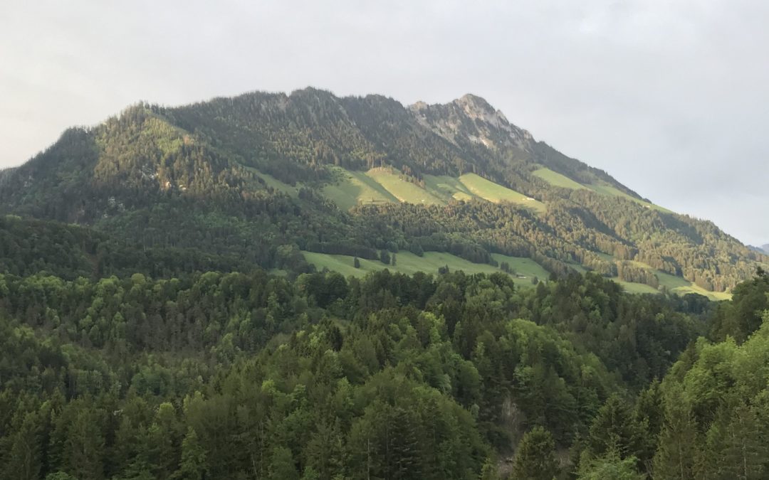 Publication de  Lucien Périsset | 09.06.2019 06:20:02