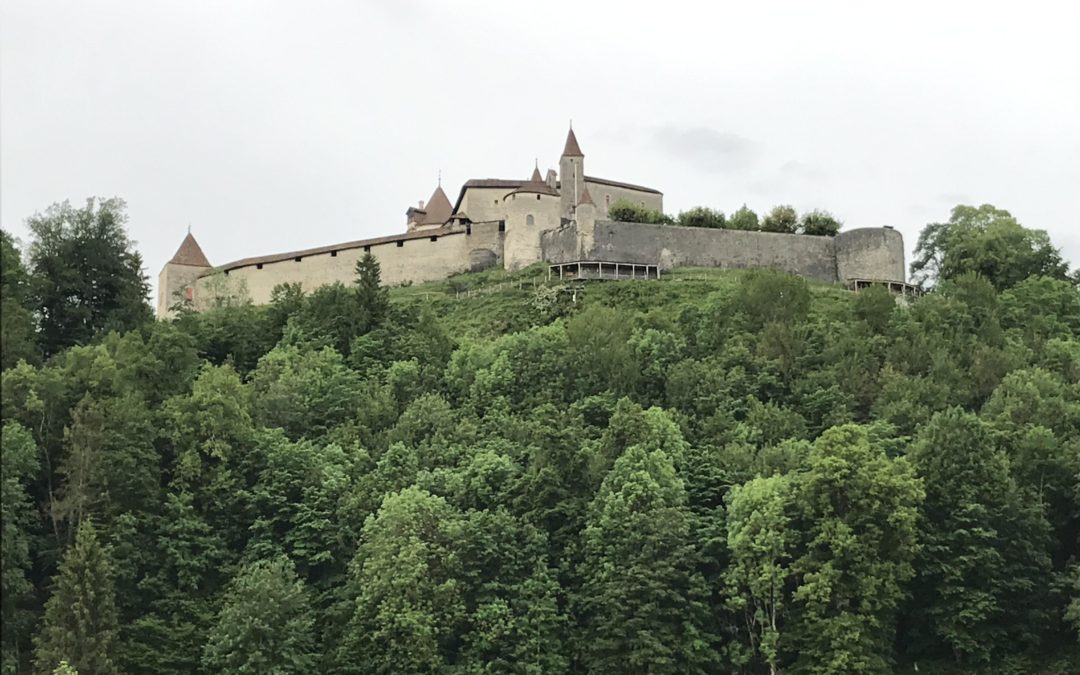 Publication de  Lucien Périsset | 09.06.2019 07:35:12