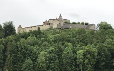 Publication de  Lucien Périsset | 09.06.2019 07:35:12