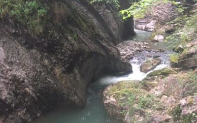 Les gorges de la Jogne