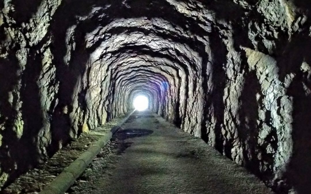 Publication de  René Mühlemann | 09.06.2019 08:05:02