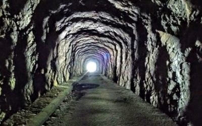 Publication de  René Mühlemann | 09.06.2019 08:05:02