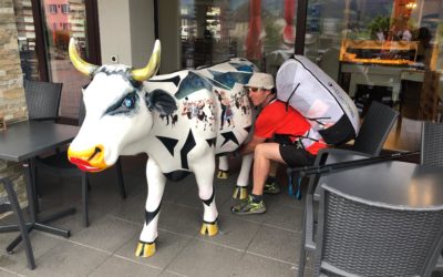 Lolo est ses vaches !