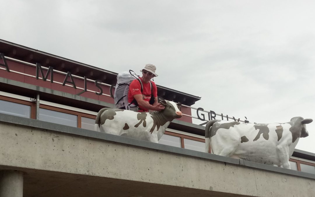 Ha quand on aime les animaux