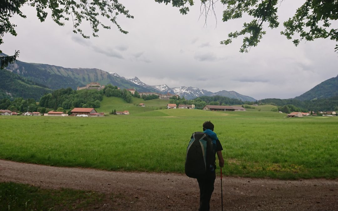 Ça sent l’écurie !