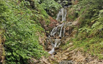 Les derniers pas dans une gorge idyllique
