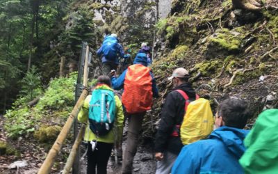 bouchons dans les gorges