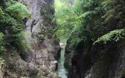 Bilan final de l’édition 2019