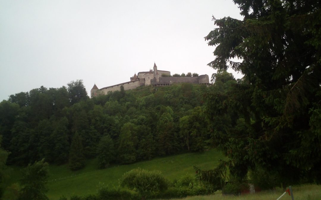 Publication de  Jean Morisetti | 09.06.2019 13:35:02