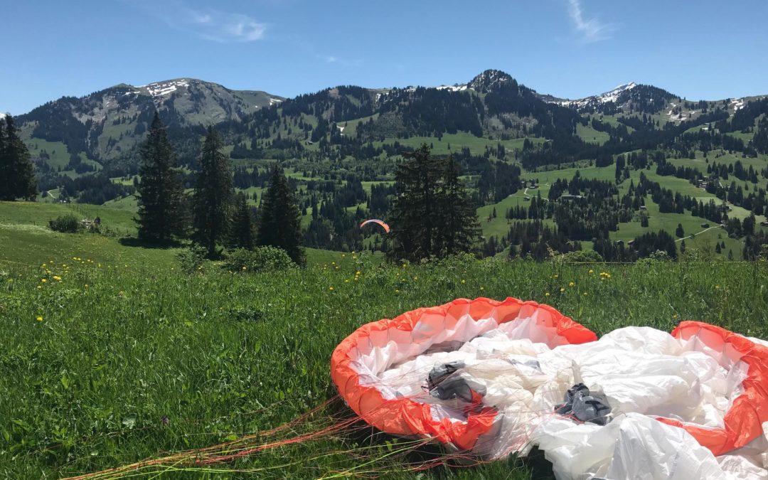 Felix landed next to me