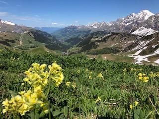 Félicitations aux compétiteurs, des cracks impressionnants, aux autonomistes, qui ont bouffé des km avec parfois des sacs >17 kg! Merci aux organisateurs d’avoir pensé à une catégorie Mobilité douce, qui s’inscrit dans un principe de durabilité et démontre que les plus beaux sites de vol de la Gruyère au lac de Thoune peuvent être atteints sans voiture. De belles perspectives à venir. Bons vols, vive la Gruyère Fly